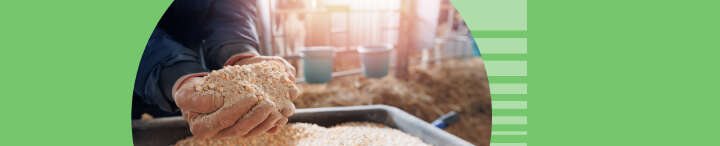 einstiegsbanner blattin themenmix